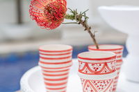 Ceramic Beldi Cup Red