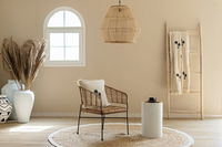 Alison Rattan Pendant Light