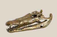 Crocodile Decor Bronze