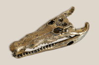 Crocodile Decor Bronze