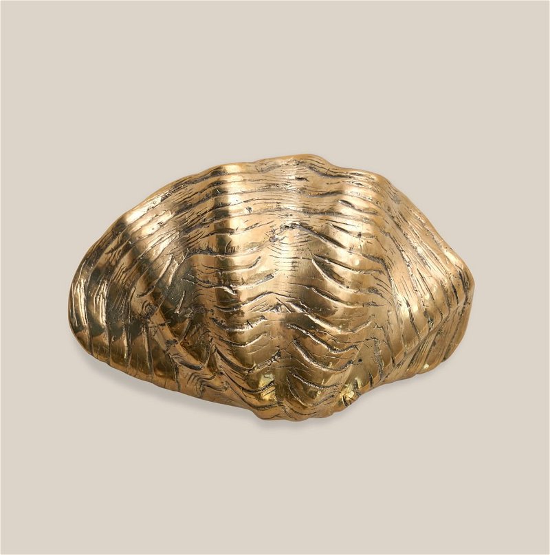 shell bronze medium 1
