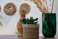 Basket with Shell