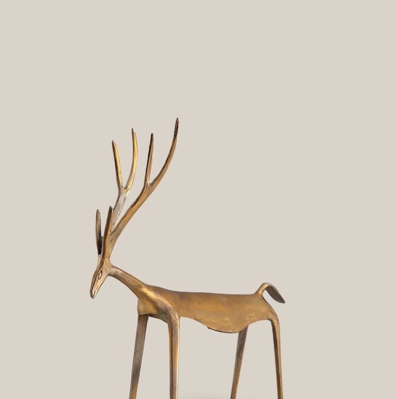 reindeer_small_long_horn.jpg