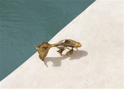 Fish Bronze Decor