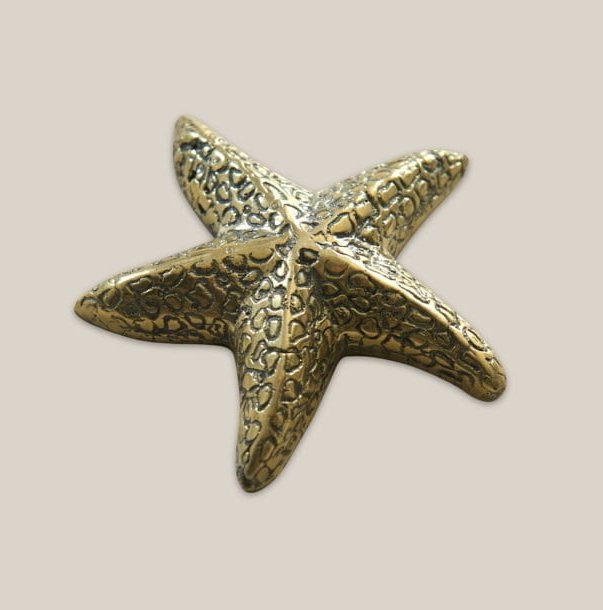 Star Fish Bronze Decoration
