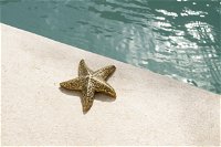 Star Fish Bronze Decoration